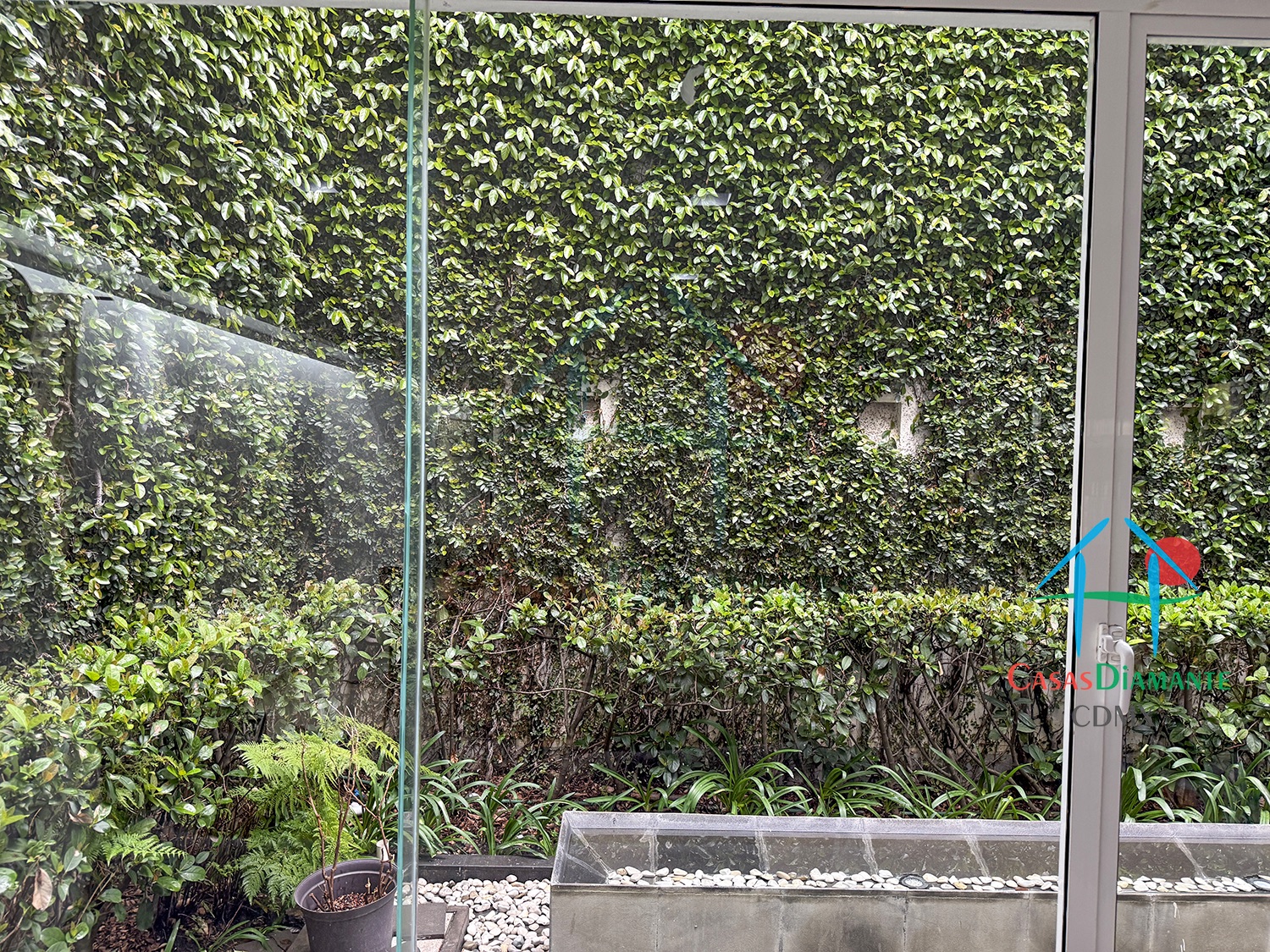 Jardines del Pedregal Casa Rivera EJ - Estudio 7